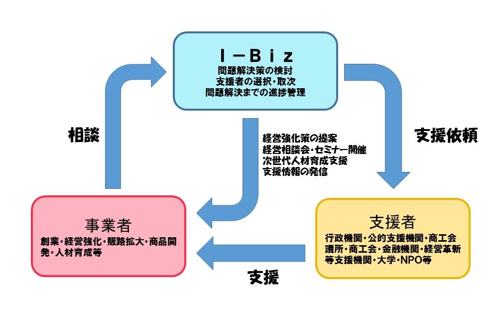 I-Biz役割